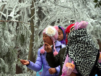 �����żҽ�����Դ�羰������ϲӭ���͡�