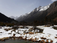 �Ĵ����﹵����ʤ����