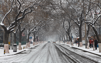 ����ӭ�������׳���ѩ��