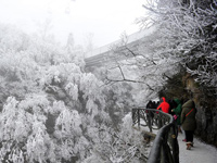 �����żҽ�����ɽ��ڡ���������ˡ�