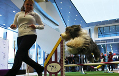 ��138����˹��˹�ع�չ��Ļ ��·������չ������