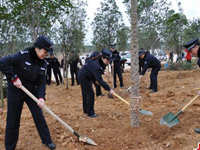 �����񾯽ں�ֲ��æ��