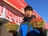 �����챱����ƽ��ݮ���ῪĻ��