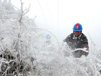 �����˲��������±�ѩ���� ��������Ӧ����Ӧ�����硱