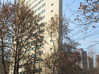 ʯ��ׯ�֡�ֽƬ¥����