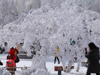 ����®ɽ����ڡ������