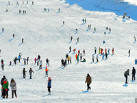 天津节后错峰游拉长旅游旺季 户外滑雪成首选”