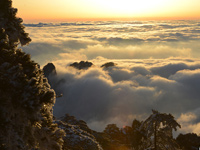 ��ѩ�׷ɻ�ɽ��ɫ����ʤ�ա�