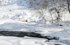 �½�������Ͽ��ѩ������ˮī����