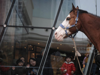 �����̳�����˩�� Ϊ�˿͡�ˣ˧����