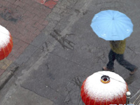 ���϶��ӭ����ѩ������