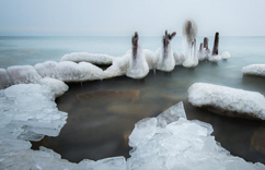 ������õ���Ъ�������澰��