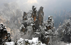 武陵源春雪增色张家界地貌风光”