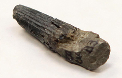 �������Ƿ����׿������ʯ��