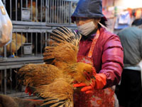 ��ۻָ����۱��ػ��