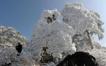 ѩ����罭��®ɽ������次�