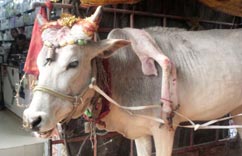 ӡ���ȡ���ţ��ȫ��Ѳչ��������