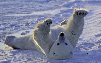 �����ܰ����� Ŭ����������չ�˶���