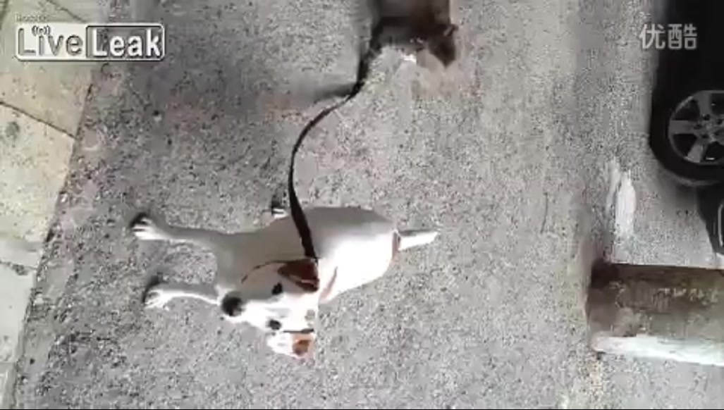 快回家吧,别在外面玩了(1)”