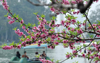 ���ݴ����������续��