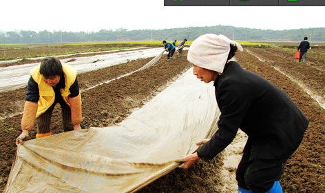 “二月二龙抬头” 农民春耕忙”