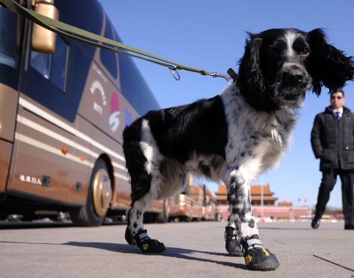 �찲�Ź㳡 ��Ȯ��ЬѲ�ߡ�