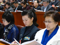 宋祖英、宋春丽参加政协全体会议”