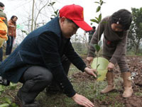 重庆开展千人植树为城市添绿”