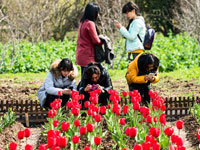 浙江影视城举办踏青节 活动丰富初显春意”