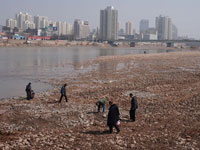 兰州市民争捡“黄河奇石””