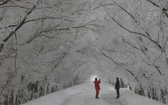 �½���ɽ��ؽ���ѩ����������ڡ������