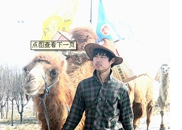 “重走茶叶之路”驼队挺进郑州”