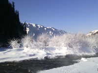 �½�����˹����ѩ�����ˡ�