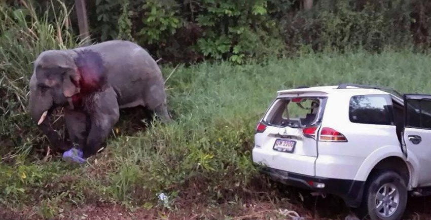 ̩�������������ײ��6������ �����ȱ�ײ�ϡ�