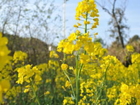 ��������Ͳ˻���ӭ�͡�