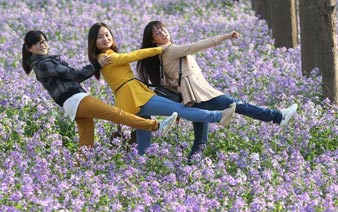 �Ͼ�����������ʢ���纣��