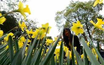 ���ϳ�������ӭ����ͻ����ڡ�