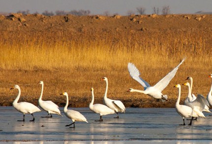 Ұ���������Ϣ���ɹ� ׼����������С���