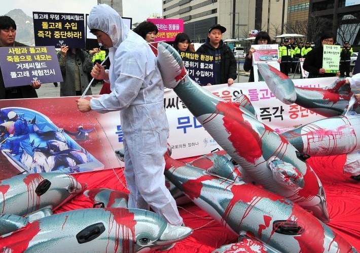 ����������ҡ����֡���ɱ������̾���