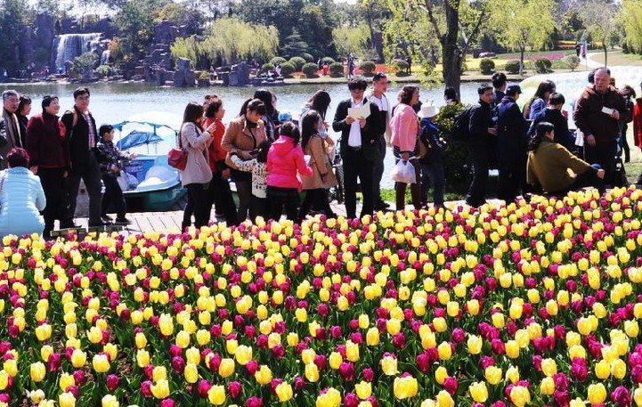 �Ϻ��ʻ��ۣ������㻨չʮ������200���ο͡�