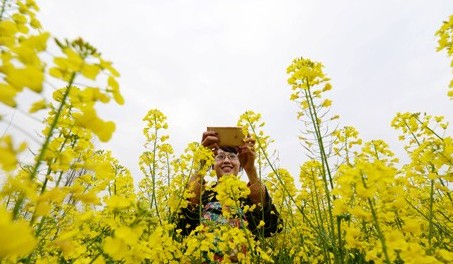 �����Ͳ˻���ʢ�� �����Լ��ο͡�