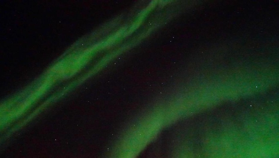 �������㱱����׳�۾��� Ʈ����˿����