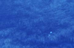 �й��ɻ�����ӡ������������ƬĿ�ꡱ