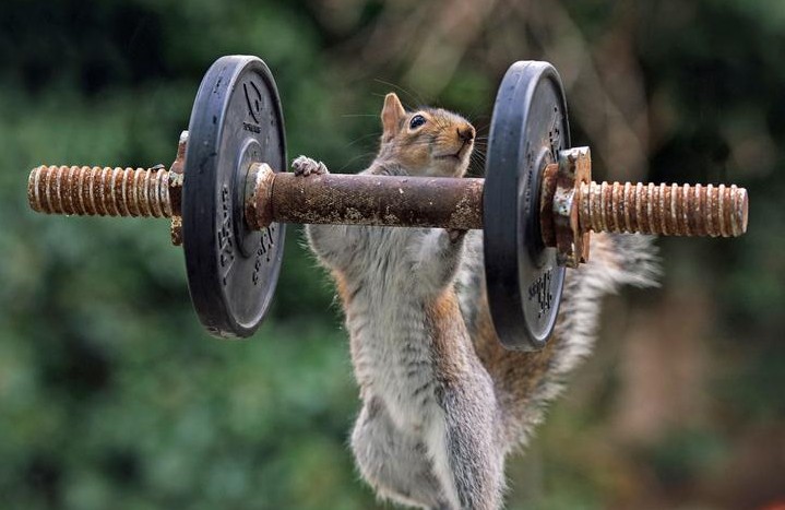 ������ʿ��С���������� ���ɡ������塱���㼡�⡱