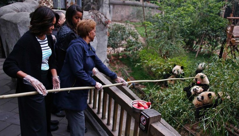 ��Ъ���ι۳ɶ�����è���� �롰���������ܻ�����