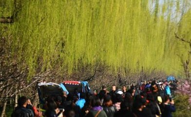 ���������������续������֯��