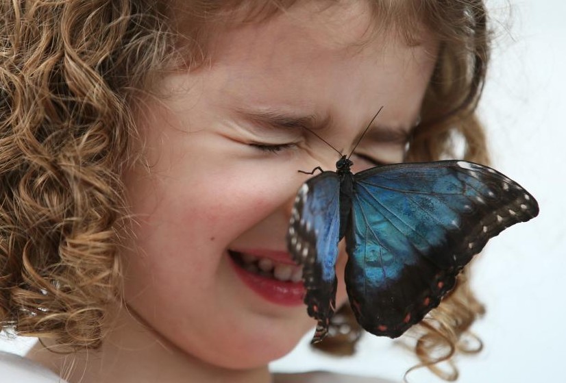 Ӣ��Ȼ��ʷ����ݺ���չ����Ļ С����Ϸ�����ȷ����ˡ�