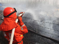 ������Ҵһ�𽺳��������� �ֳ�Ũ�̹�����