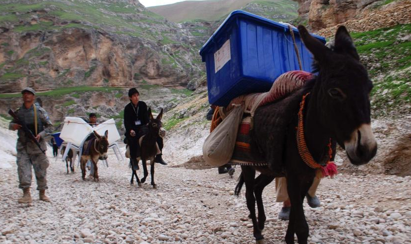 阿富汗准备总统大选 毛驴运送选票箱”