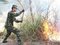 重庆突发森林火灾”
